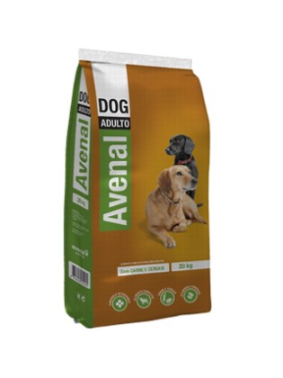 Avenal Dog Adult